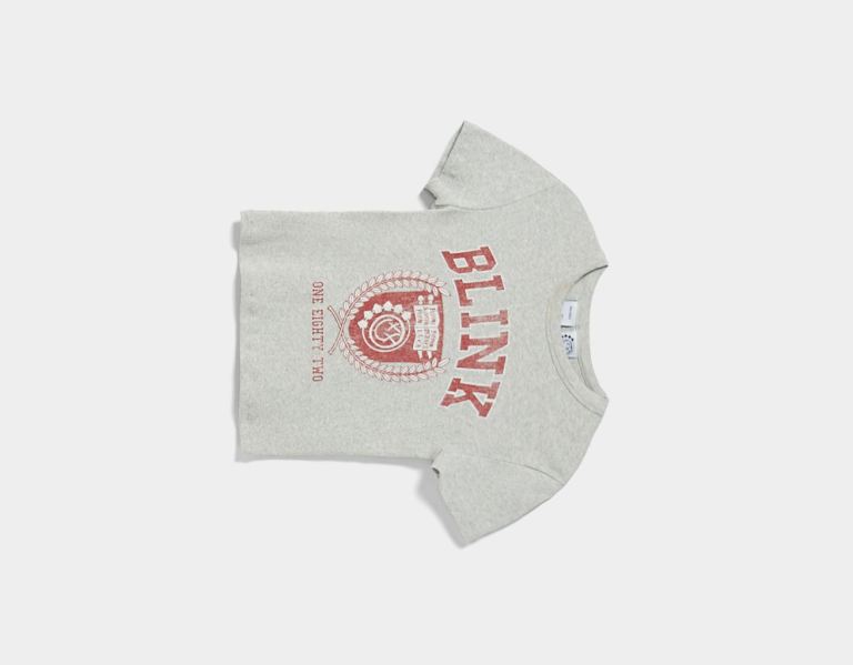 Bershka Blink 182 Print Kort Sleeve T-shirts Dames Grijs | 3eSqqHeiAJy