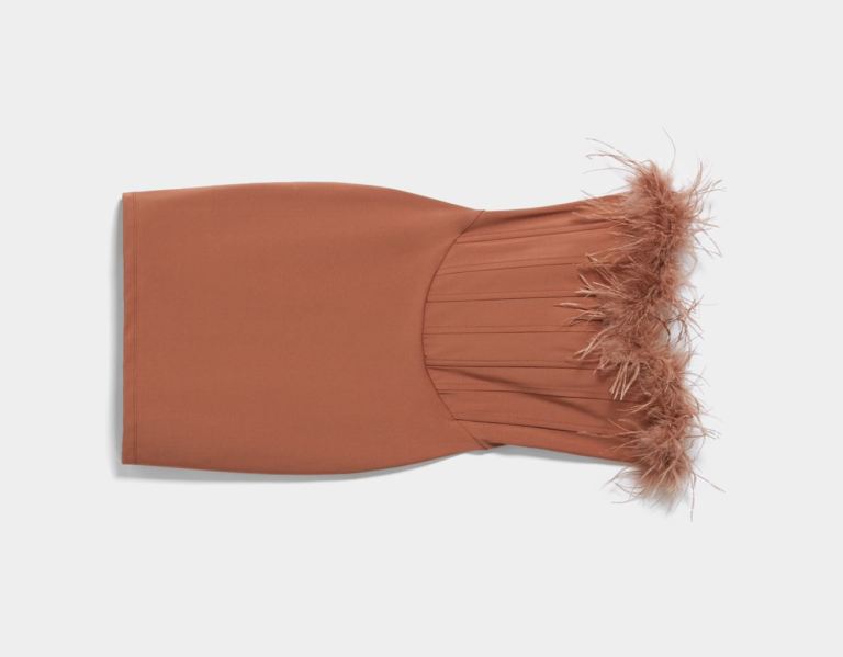 Bershka Mouwloos Mini With Feathers Jurken Dames Bruin | pjmlM968OM3