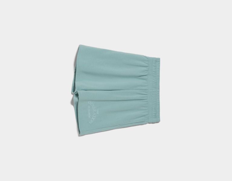 Bershka Plush Bermuda With Embroidered Detail Korte Broek Dames Lichtblauw | IjiVH2618CB