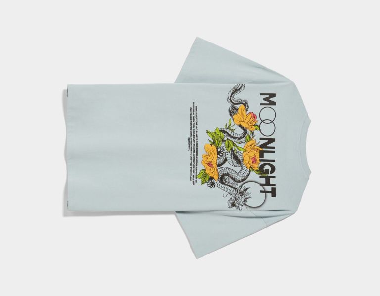 Bershka Printed Boxy Fit Kort Sleeve T-shirts Heren Lichtblauw | Q1K2n7fFoTH