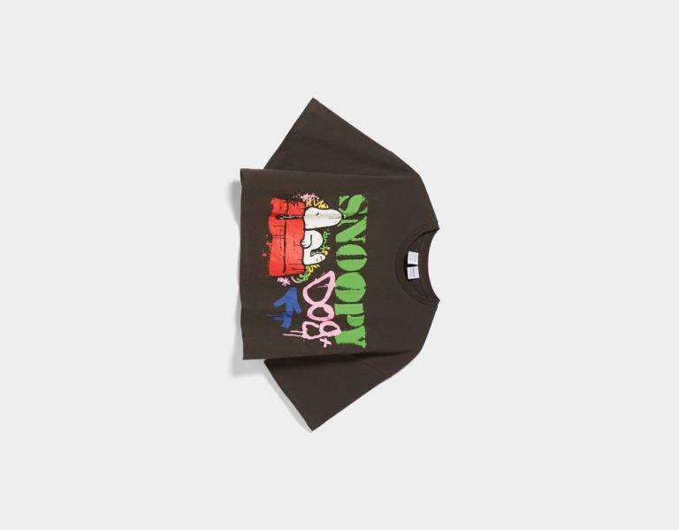 Bershka Snoopy Dog Kort Sleeve T-shirts Dames Grijs | 30MBFwKgMNp